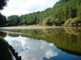 天竜区春野町、標高668mの山頂にある新宮神社内の自然池。スギやヒノキに囲まれた周囲約500mの池は、涸れることのない湧水をたたえています。諏訪湖との地底水路の言い伝えや竜蛇伝説が残り、ジュンサイも生育しています。