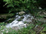 平成20年（2008）、環境省の「平成の名水百選」に選定された、魚鱗のきらめきが見えるほどの清流。天竜区熊付近の沢を水源とし、同区渡ヶ島で天竜川に合流しています。「青谷不動の滝」など阿多古七滝と呼ばれる多くの滝や瀬もあり、渓流釣りや水遊び、キャンプ等のレジャースポットとしても人気があります。