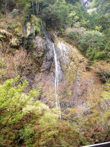 天竜区水窪町、県道水窪森線を山住神社方面へ約2km入った辺り。水窪川の支流、水窪河内川のそびえ立つ岩壁「切通し峡」の中に、糸をたらしたように流れ落ちています。秋には紅葉、春にはヤシオツツジが彩ります。