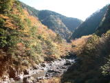 明神峡は、天竜区春野町勝坂から水窪町門桁に至る、気田川沿い約5kmの渓谷。カエデやケヤキ、ブナなどが色づく秋には、激流に洗われた岩肌や巨岩に映える紅葉が美しく、一層変化に富んだ風景となります。